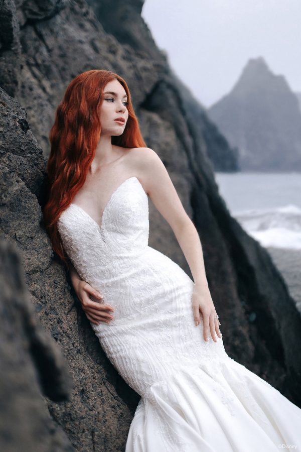D430-Ariel-01.jpg