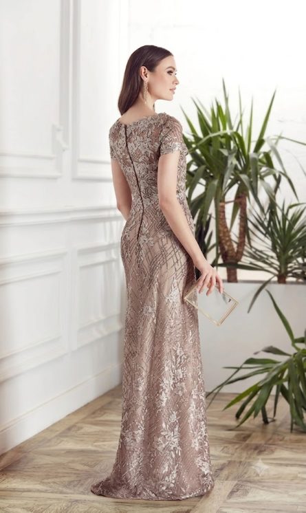 Special Occasion Illusion Neckline Embellished A Line Dress - Image 5