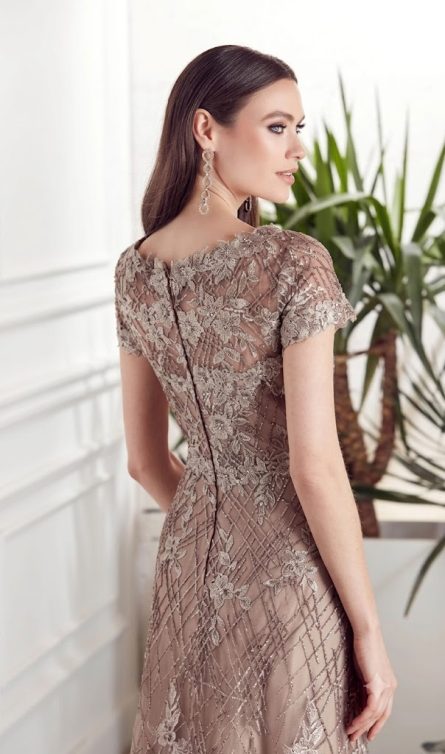 Special Occasion Illusion Neckline Embellished A Line Dress - Image 6