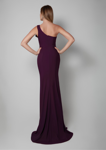 Special Occasion One Shoulder Neckline Elegant Straight Dress - Image 3