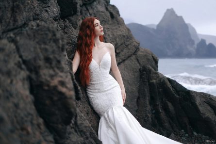 Ariel - Image 5