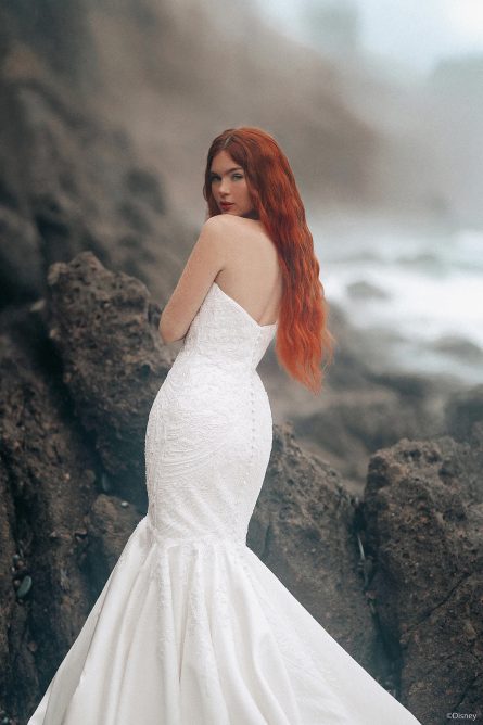 Ariel - Image 4