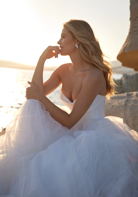 Darcy - Image 3