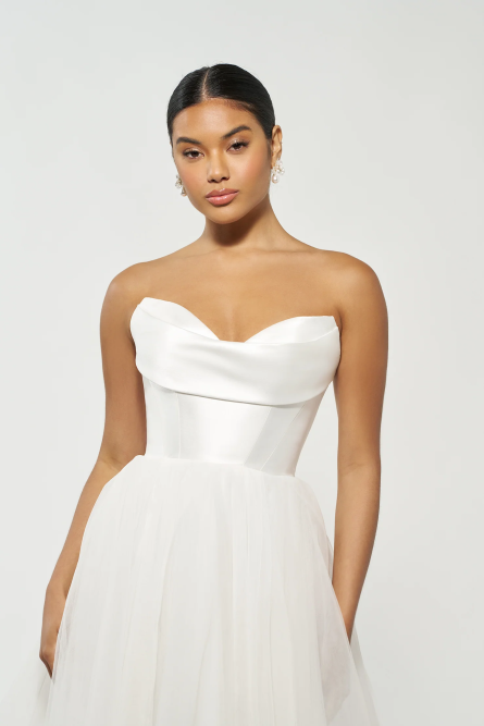 Darcy - Image 4